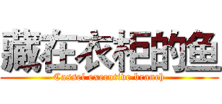 藏在衣柜的鱼 (Cassel executive branch)