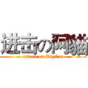 进击の阿貓 (attack on BigCat)
