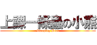 上課一條蟲の小熊 (Sleeping Bear)