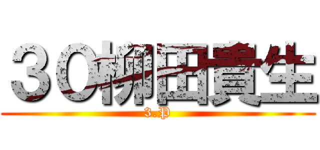 ３０柳田貴生 (3.P)