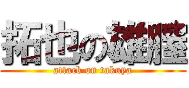 拓也の雄膣 (attack on takuya)