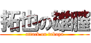 拓也の雄膣 (attack on takuya)