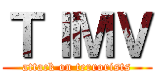 ＴＩＭＶ (attack on terrorists)