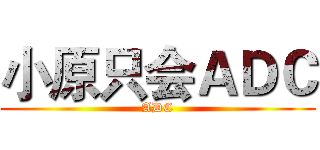 小原只会ＡＤＣ (ADC)