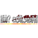 動ㄘａ兔兔豬 (attack on titan)