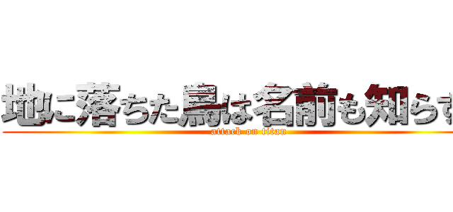 地に落ちた鳥は名前も知らずに (attack on titan)