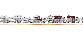 地に落ちた鳥は名前も知らずに (attack on titan)