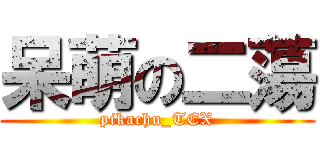 呆萌の二蕩 (pikachu_TEX)