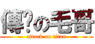 傳說の毛哥 (attack on titan)