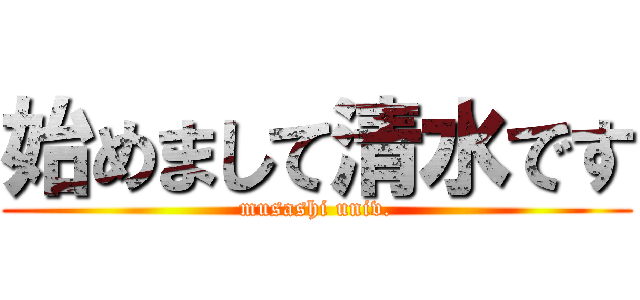 始めまして清水です (musashi univ.)
