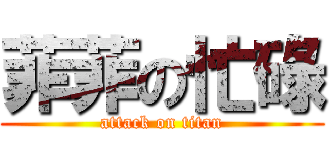 菲菲の忙碌 (attack on titan)