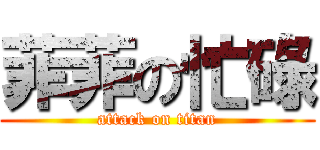 菲菲の忙碌 (attack on titan)