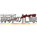 菲菲の忙碌 (attack on titan)