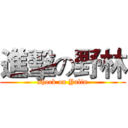進擊の野林 (shock on Yalin)