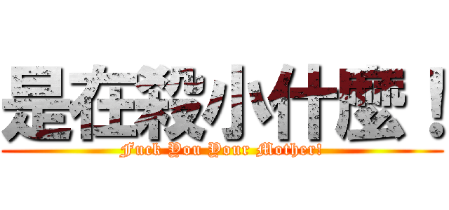 是在殺小什麼！ (Fuck You Your Mother!)