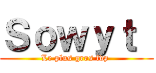 Ｓｏｗｙｔ  (Le plus gros fdp )