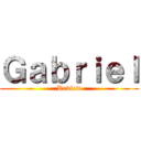 Ｇａｂｒｉｅｌ (Review)