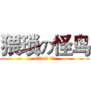 猥琐の怪鸟 (attack 哦你)