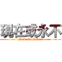 現在或永不 (Now Or Never)