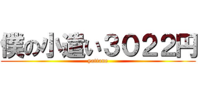 僕の小遣い３０２２円 (yattane)