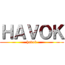 ＨＡＶＯＫ (havok)