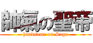 帥氣の聖帝 (handsome on Sage)