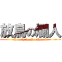 放鳥の爛人 (Lonely in Northpark)