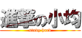 進撃の小均 (study hard)