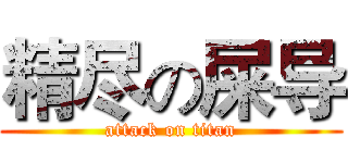 精尽の屎导 (attack on titan)