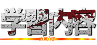 学習内容 (study)