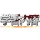 学習内容 (study)