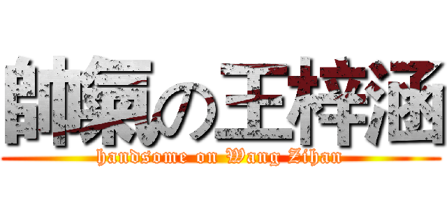 帥氣の王梓涵 (handsome on Wang Zihan)