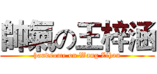 帥氣の王梓涵 (handsome on Wang Zihan)