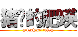 猪头的肥瑛 (attack on titan)