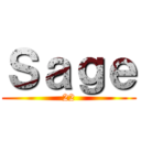 Ｓａｇｅ (22)