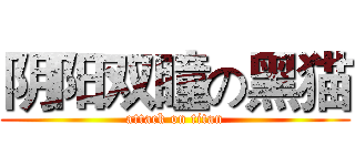 阴阳双瞳の黑猫 (attack on titan)