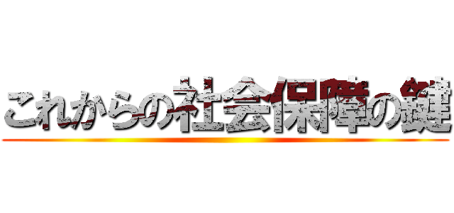 これからの社会保障の鍵 ()