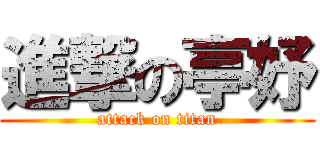 進撃の亭妤 (attack on titan)