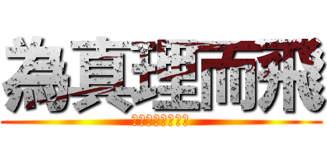 為真理而飛 (美國海軍海盜中隊)