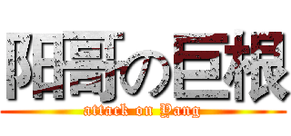阳哥の巨根 (attack on Yang)