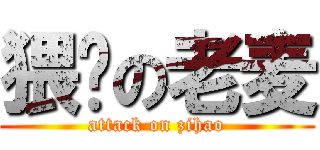 猥琐の老麦 (attack on zihao)