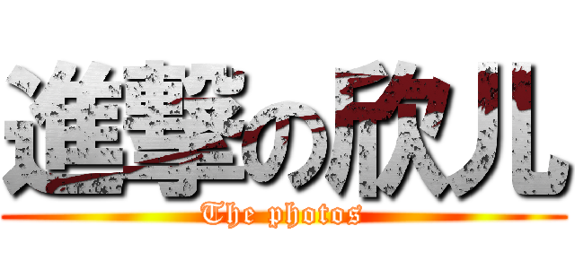 進撃の欣儿 (The photos)