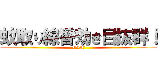 蚊取り線香効き目抜群！ (WAO!)