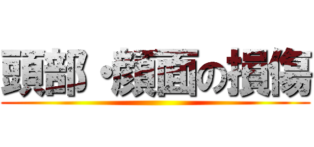 頭部・顔面の損傷 ()