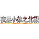 夜星小弟之北极 (QT:881)