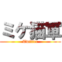 ミケ猫軍 (Twitter)