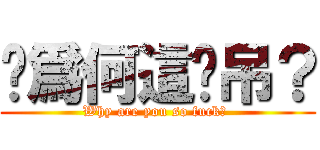 妳爲何這么吊？ (Why are you so fuck？ )