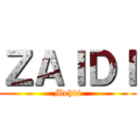 ＺＡＩＤＩ (Mehdi)