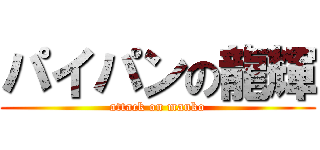 パイパンの龍輝 (attack on manko)