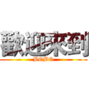 歡迎來到 (BOBO)